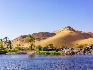 rive du Nil_© IStock ewastudio