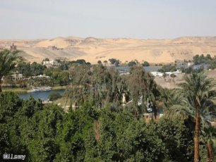 Nil Assouan