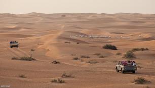 Desert Safari and Oryx.jpg
