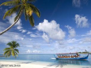 Dhoni aux Maldives v.jpg
